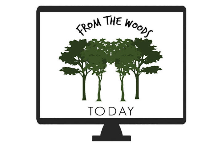 "From The Woods Today" logo featuring green trees on white background "From The Woods Today" logo featuring green trees on white background